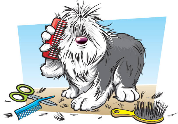 Useful Pet Tools