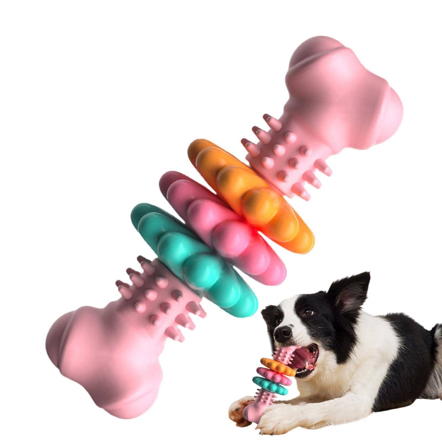 Bark ‘n’ Bite