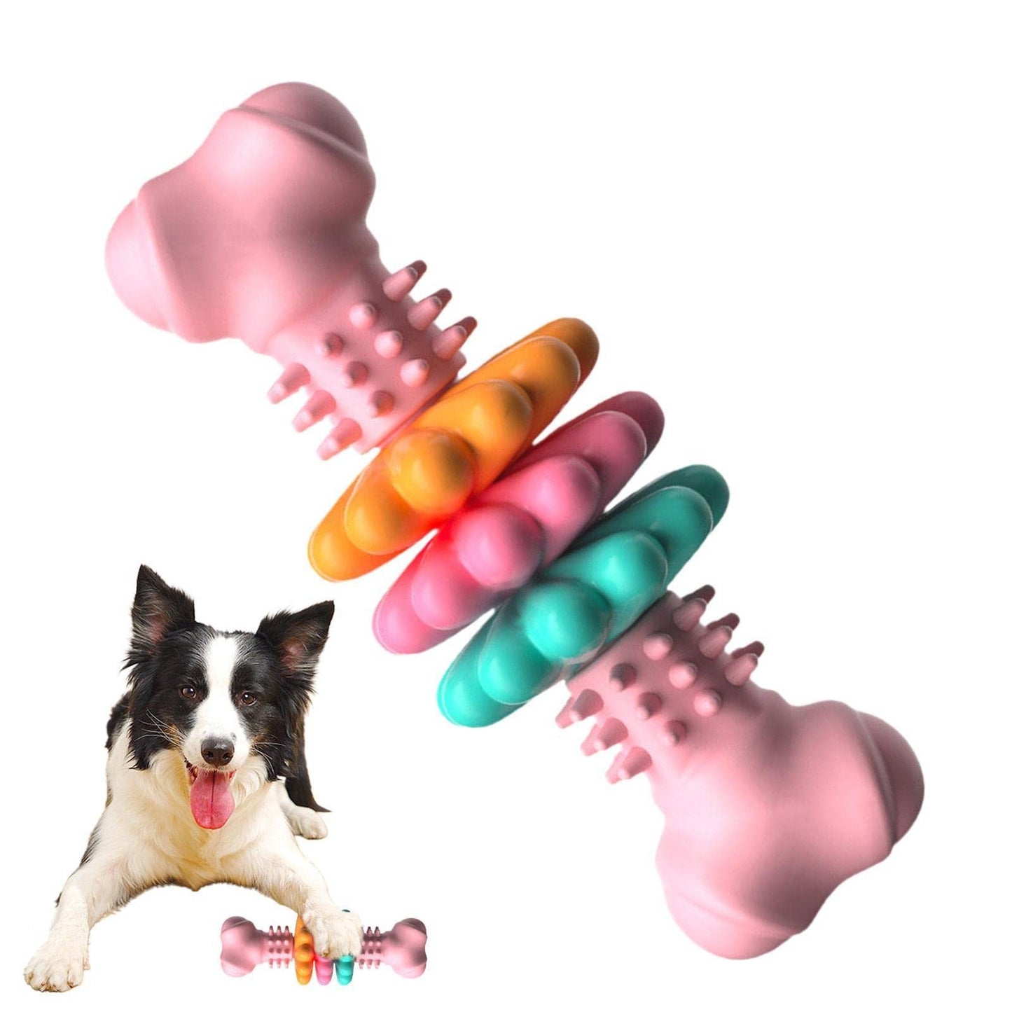 Bark ‘n’ Bite