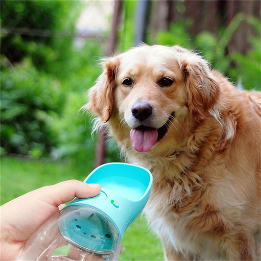 Sip-Paw-Tastic