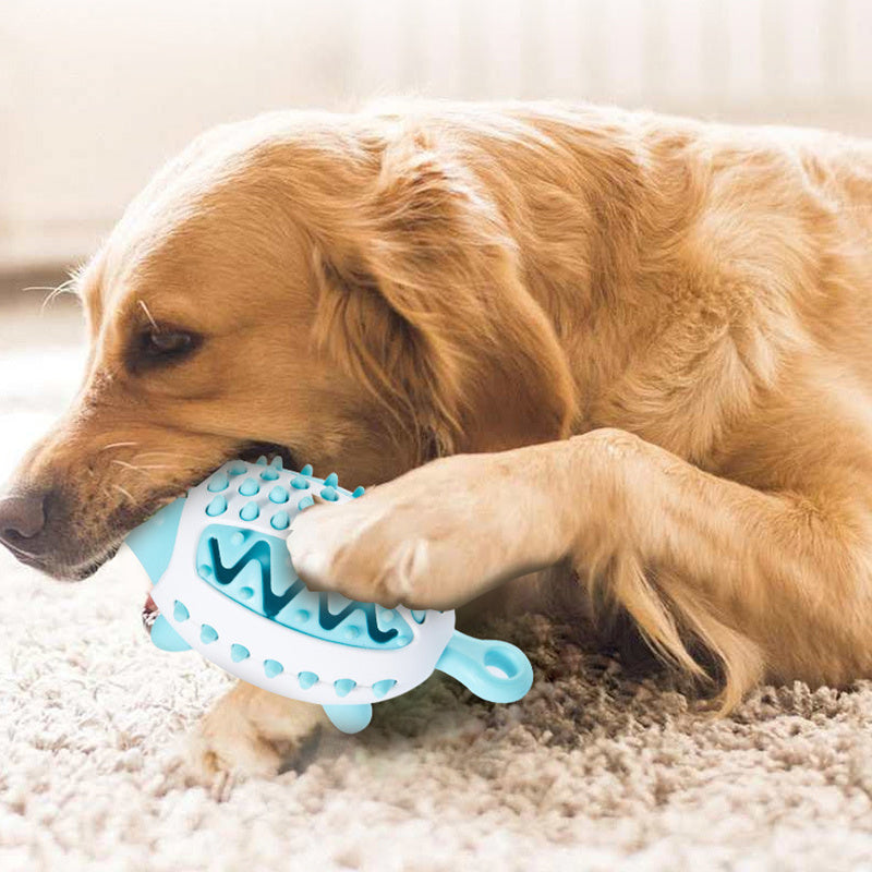 My Pet Deserves A Treat After Solving a Puzzle
