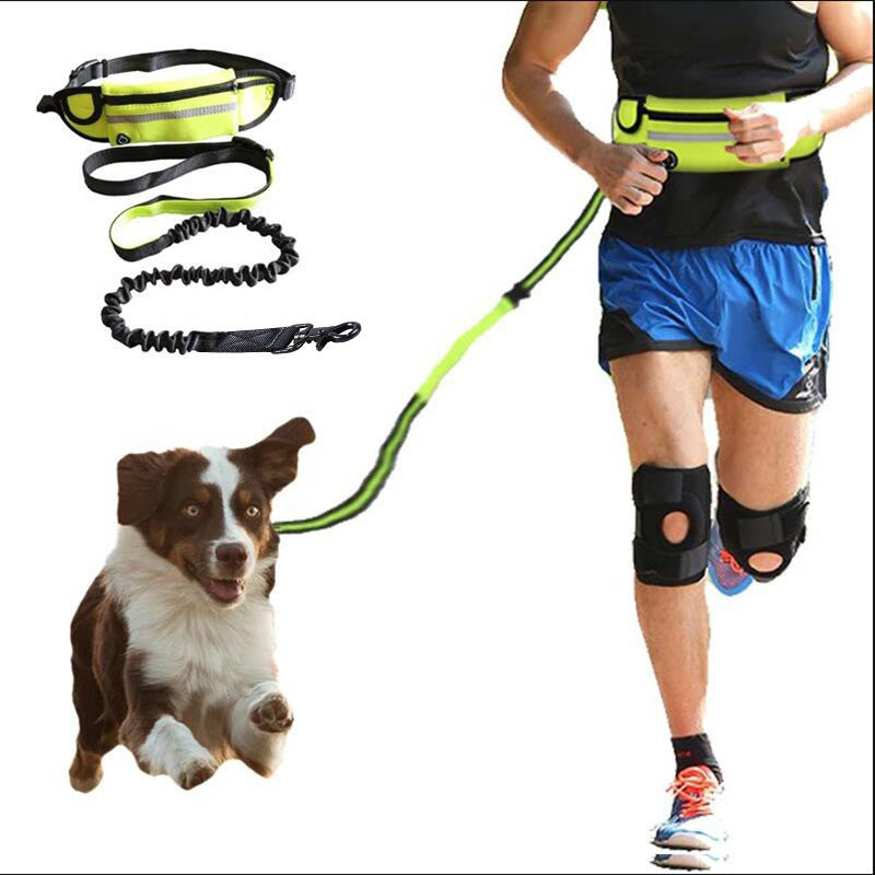 Pup-Tastic Tether: Hands-Free Zoomies Edition