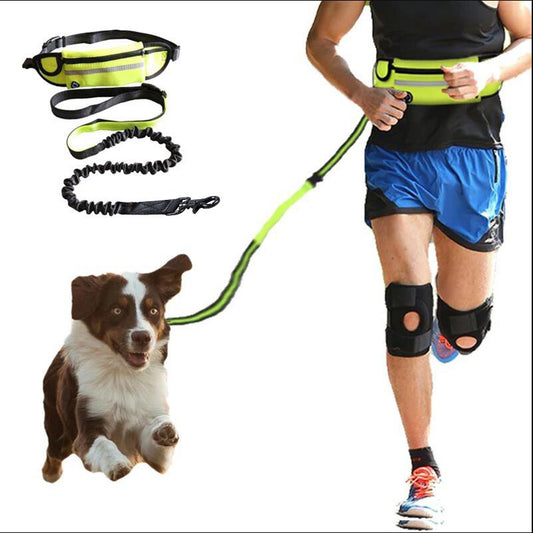 Pup-Tastic Tether: Hands-Free Zoomies Edition
