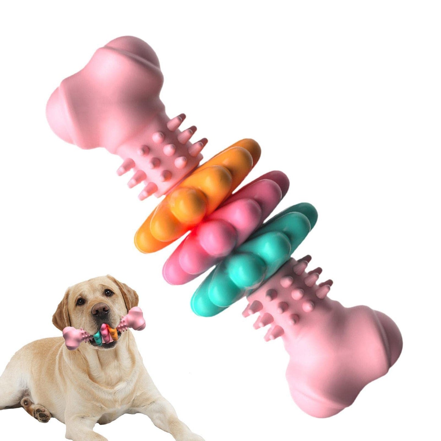 Bark ‘n’ Bite