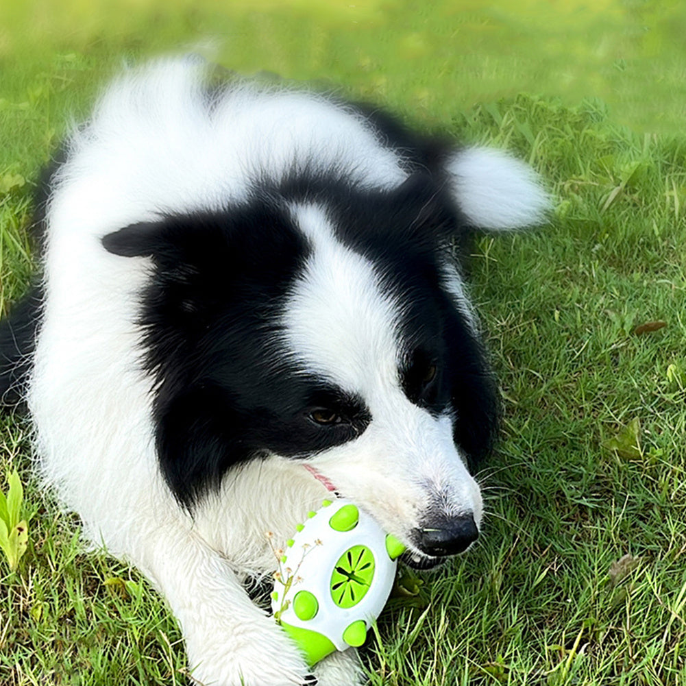 My Pet Deserves A Treat After Solving a Puzzle