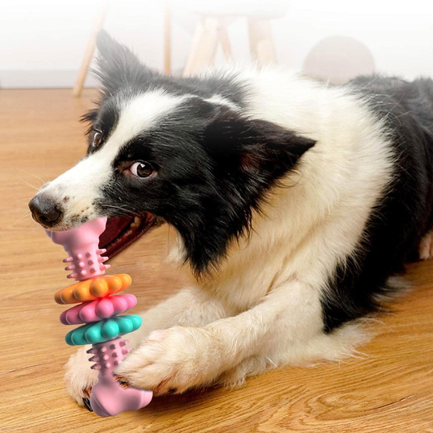 Bark ‘n’ Bite